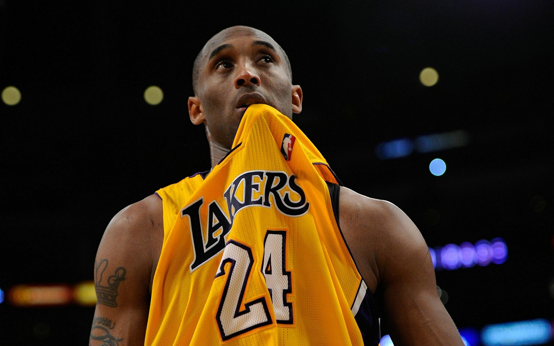 线的中坚力 线的中坚力