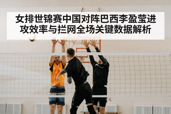 volleyball block net