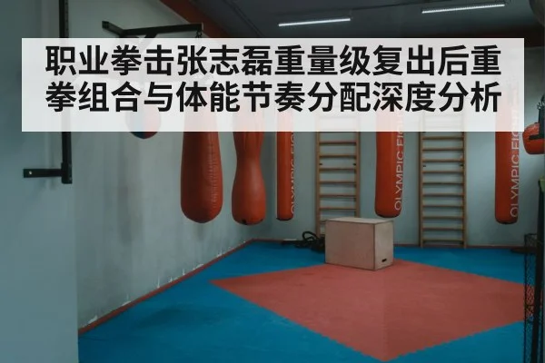 职业拳击张志磊重量级复出后重拳组合与体能节奏分配深度分析 | kaiyun